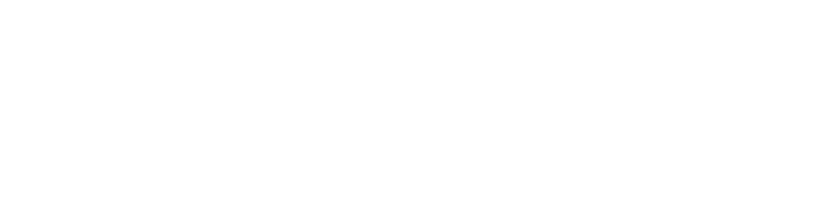 Alternative Equity Advisors